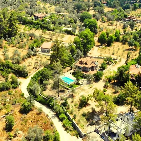 Villa Verde Villa *