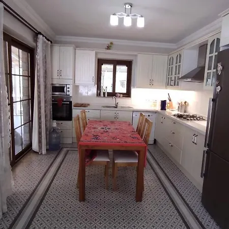 Villa Verde 费特希耶